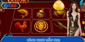 Cách chơi bầu cua