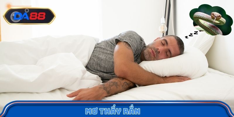 Mơ thấy rắn