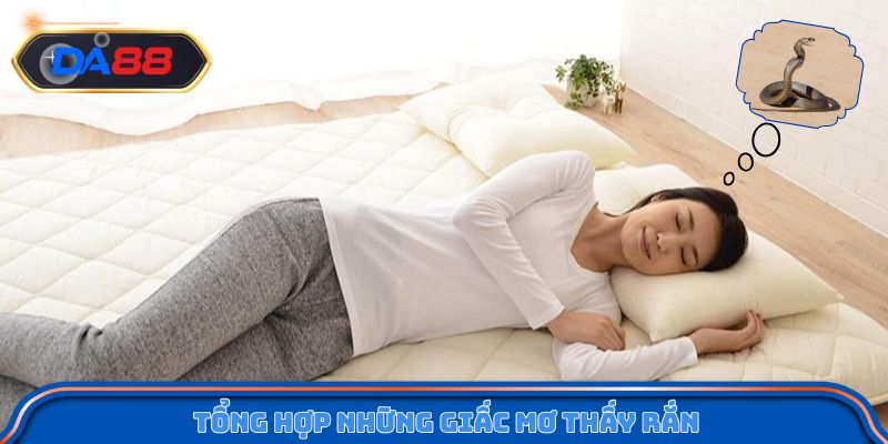 Tổng hợp những giấc mơ thấy rắn